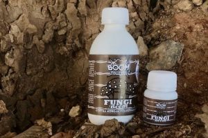 fungi boom
