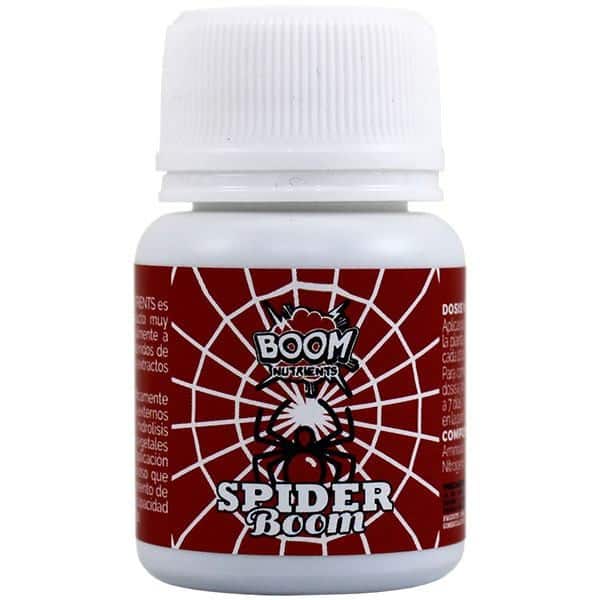 how to get rid of red spider mites how to get rid of red spider mites