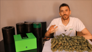 Noticias Cannábicas