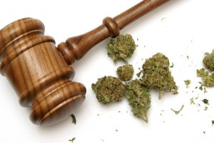 legalizzazione cannabis