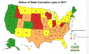 10 choses que vous ne savez (peut-être) pas sur le cannabis