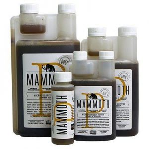 funghi e batteri benefici