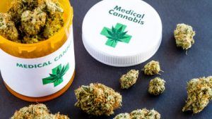 legalizzazione cannabis