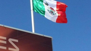 Noticias Cannábicas