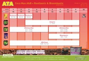 tabella atami coco