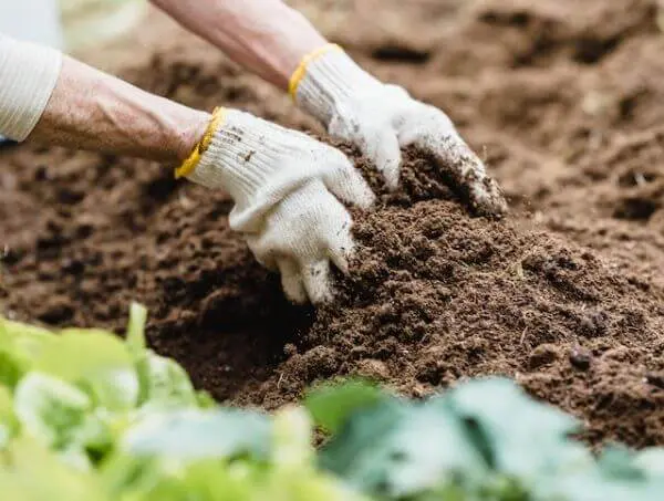 acide lactique pour eliminer l'odeur dans le compost