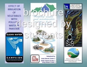 Things that are Toxic for Cannabis Plants