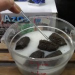 Azos: bacterias beneficiosas