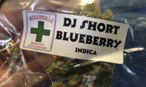 Blueberry Origins