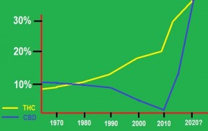 Increase in the Potency of Cannabis
