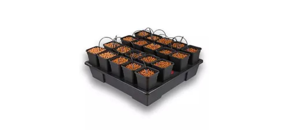 5 formas de cultivar marihuana en Hydro foto sistema RSS Cannabis en hydro