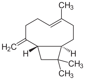 struttura beta cariofillene
