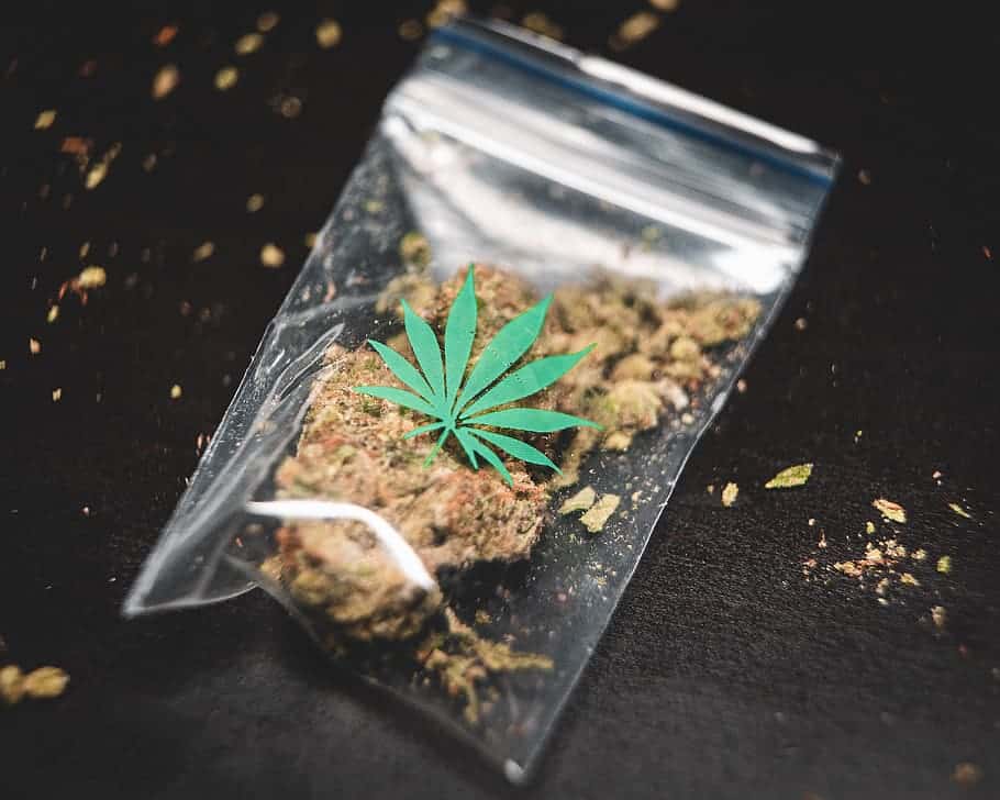 CBM Cannabinoid - Baggie of cannabis CBM Cannabinoid