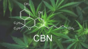 What is CBN? (Cannabinol)