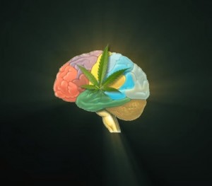 stereotypes sur le cannabis