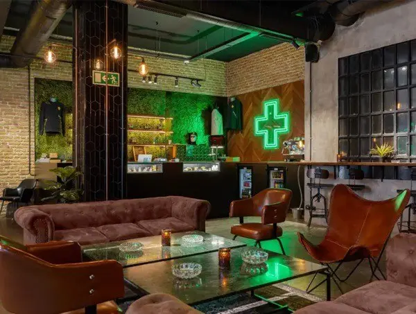 plantes de cannabis autorisées