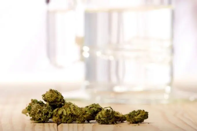 Dry Buds curing weed