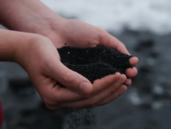 comment réaliser une agriculture régénérative