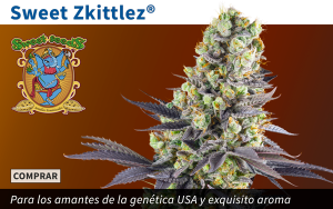 Noticias Cannábicas