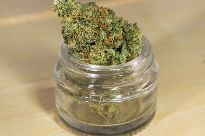 comment conserver le cannabis