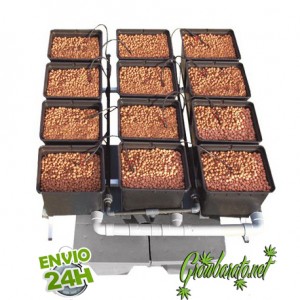 5 Ways to Grow Cannabis in Hydroponics