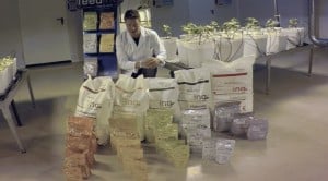 Powder Feeding by Green House