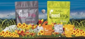 Powder Feeding by Green House