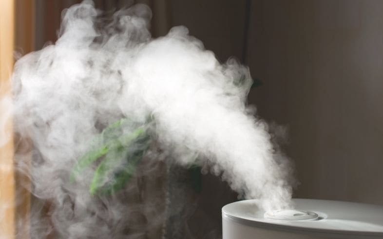 Humidificateur de plantes Réhydratation du cannabis