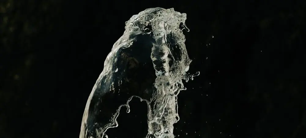 Root flushing