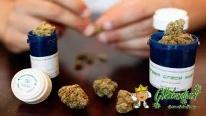 Los cannabinoides podrían inhibir el crecimiento de células cancerosas