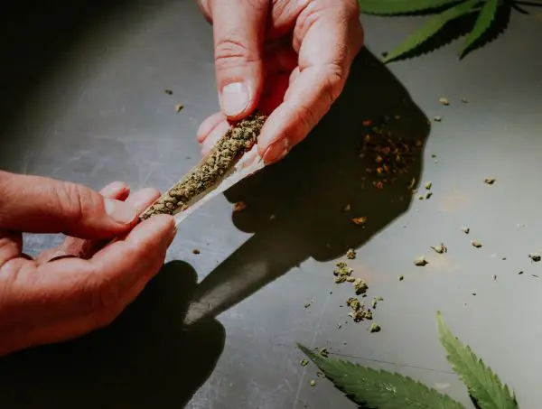 addiction cannabis