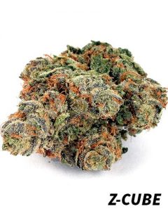 Meilleures variétés cannabis indoor | Z-Cube meilleures varietes cannabis indoor