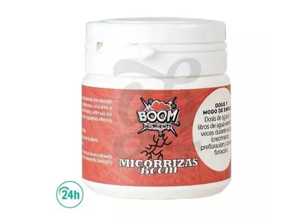 Micorrizas Boom Micorrizas Boom