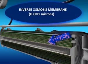 Growmax Filters and Osmosis