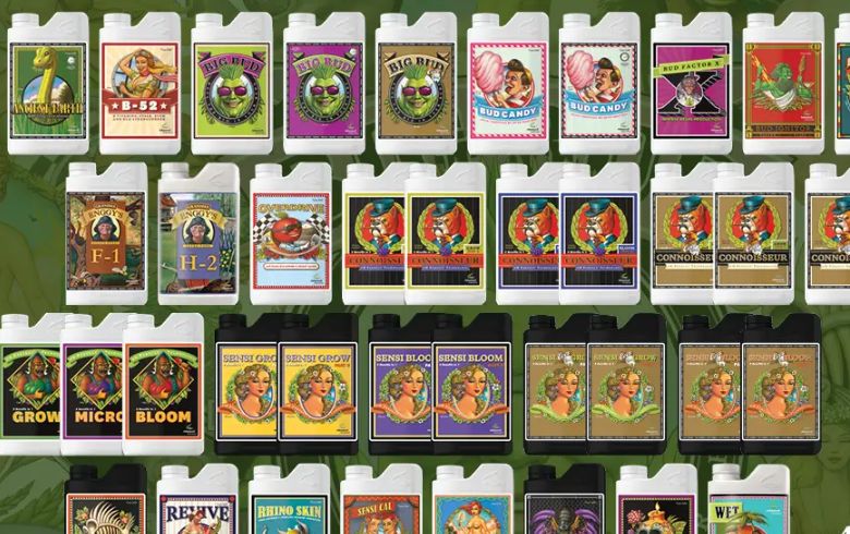 Noticias Cannábicas