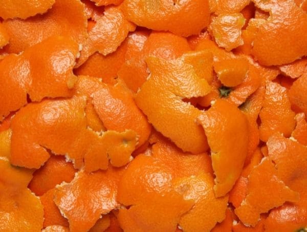 Épluchures d'orancge Réhydratation du cannabis