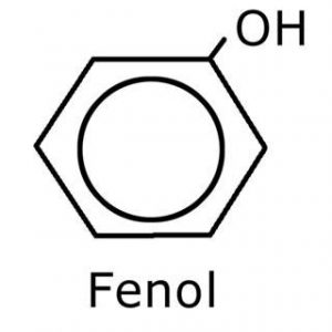 polyphenols