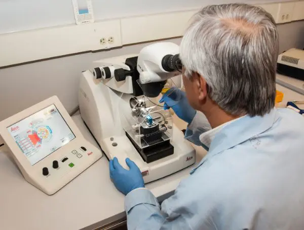 relation entre le génotype et phénotype