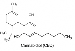 La oms no reconoce el cannabis como droga foto de composición cbd