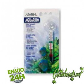 température de l'eau
