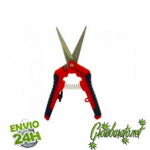 quand realiser une coupe des branches basses