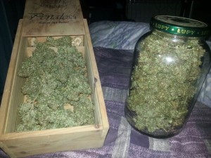 trattamento della marijuana

