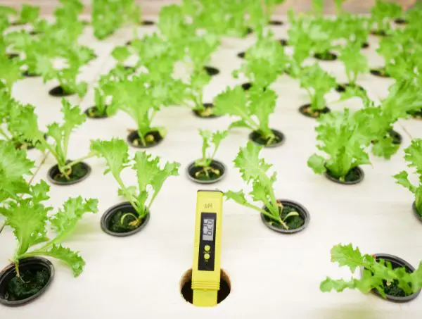 étalonner pH-mètre