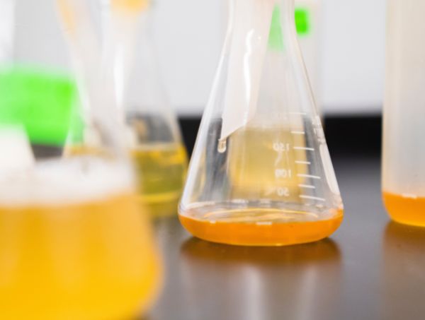 Noticias Cannábicas