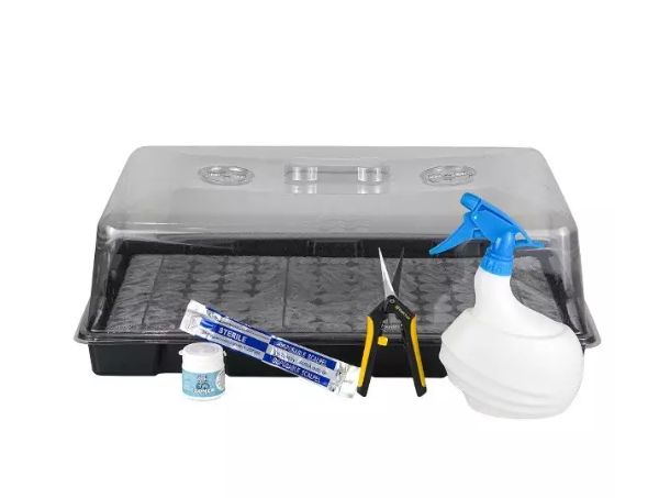 Kit per talee di Boom