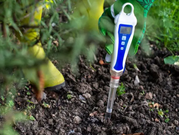 Solutions D'étalonnage PH-mètre - 3 Flacons 50ml (pH 4,00 / 7,00 / 10,01) - Inclut Aussi étalonnage ORP Et Conductivité