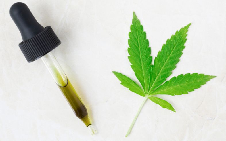 Noticias Cannábicas