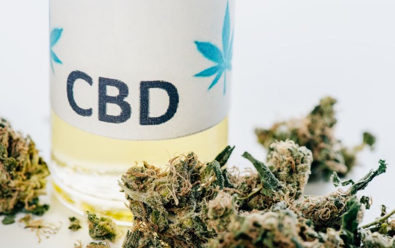 Noticias Cannábicas