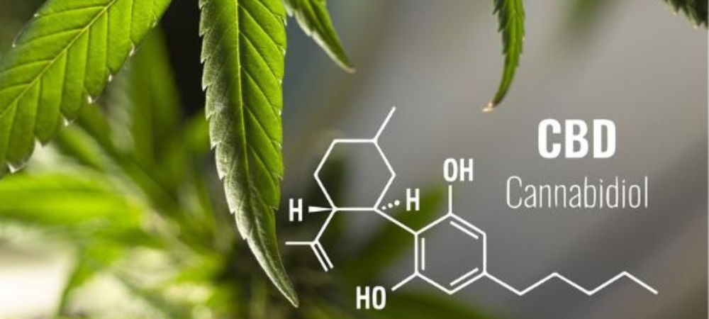 formule CBD