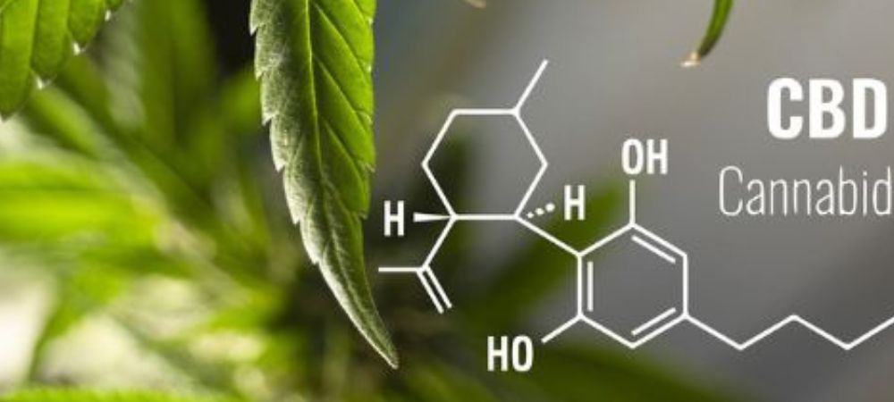 cannabidiol formule